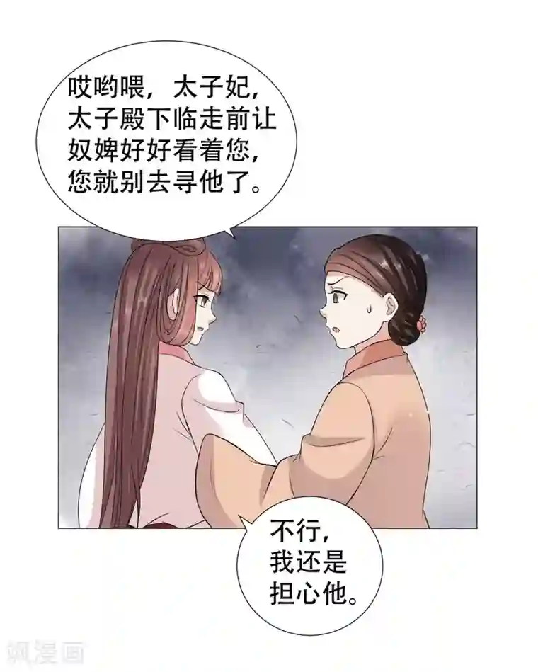 穿越之太子妃威武第61话 太子不会有事的