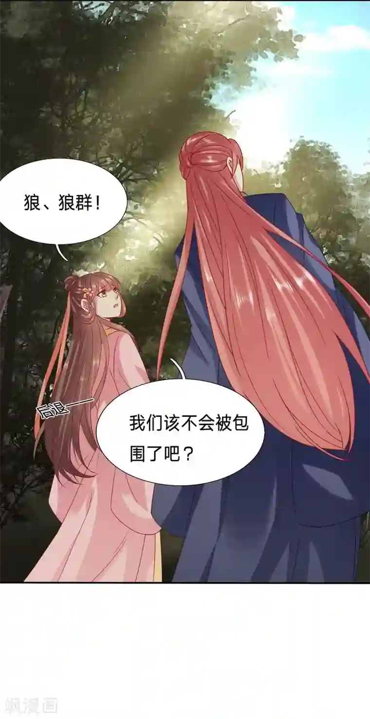 穿越之太子妃威武第85话 孤男寡女被狼群包围