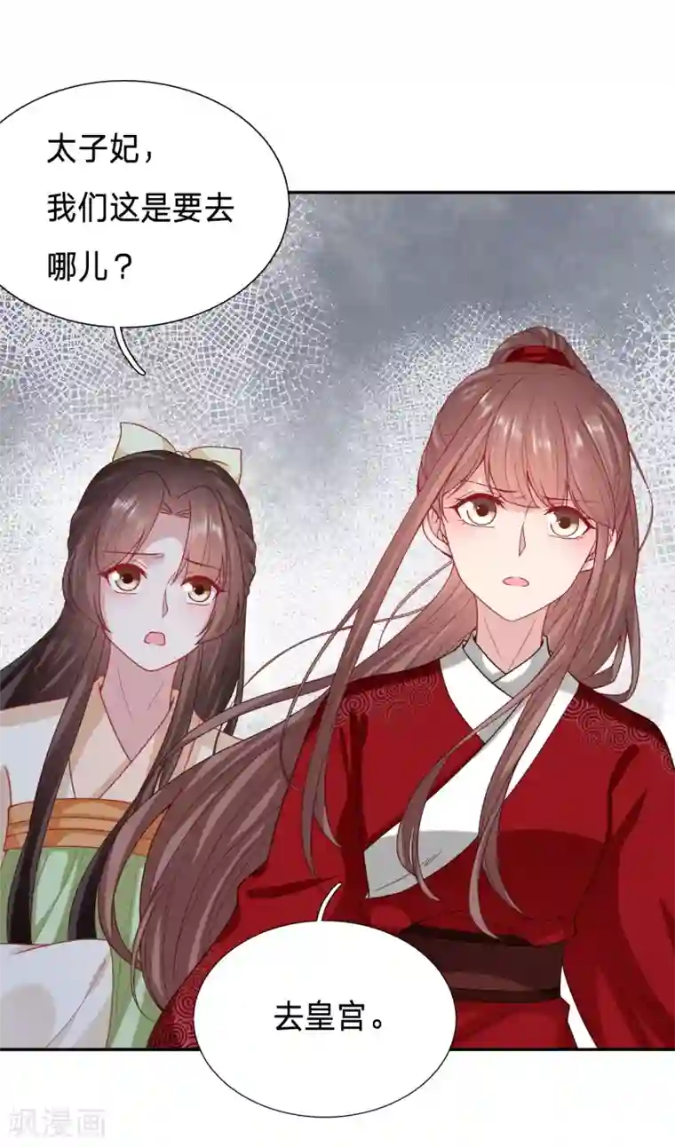 穿越之太子妃威武第112话 先与太子殿下商量