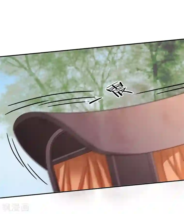 穿越之太子妃威武第116话 又有刺客？！