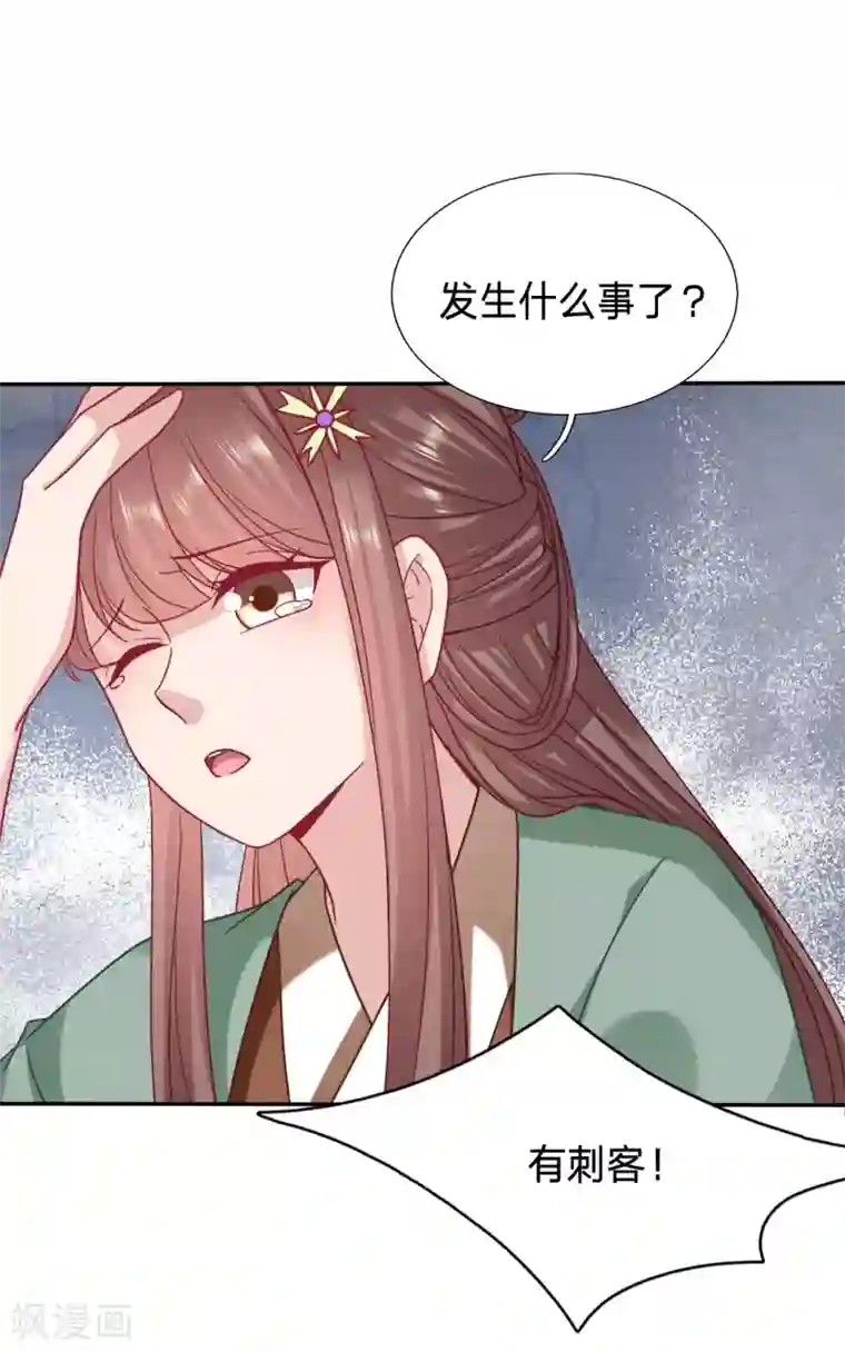 穿越之太子妃威武第116话 又有刺客？！