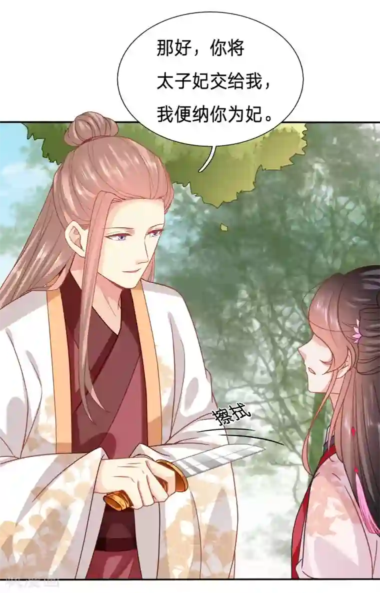 穿越之太子妃威武第123话 太子当真要纳侧妃？