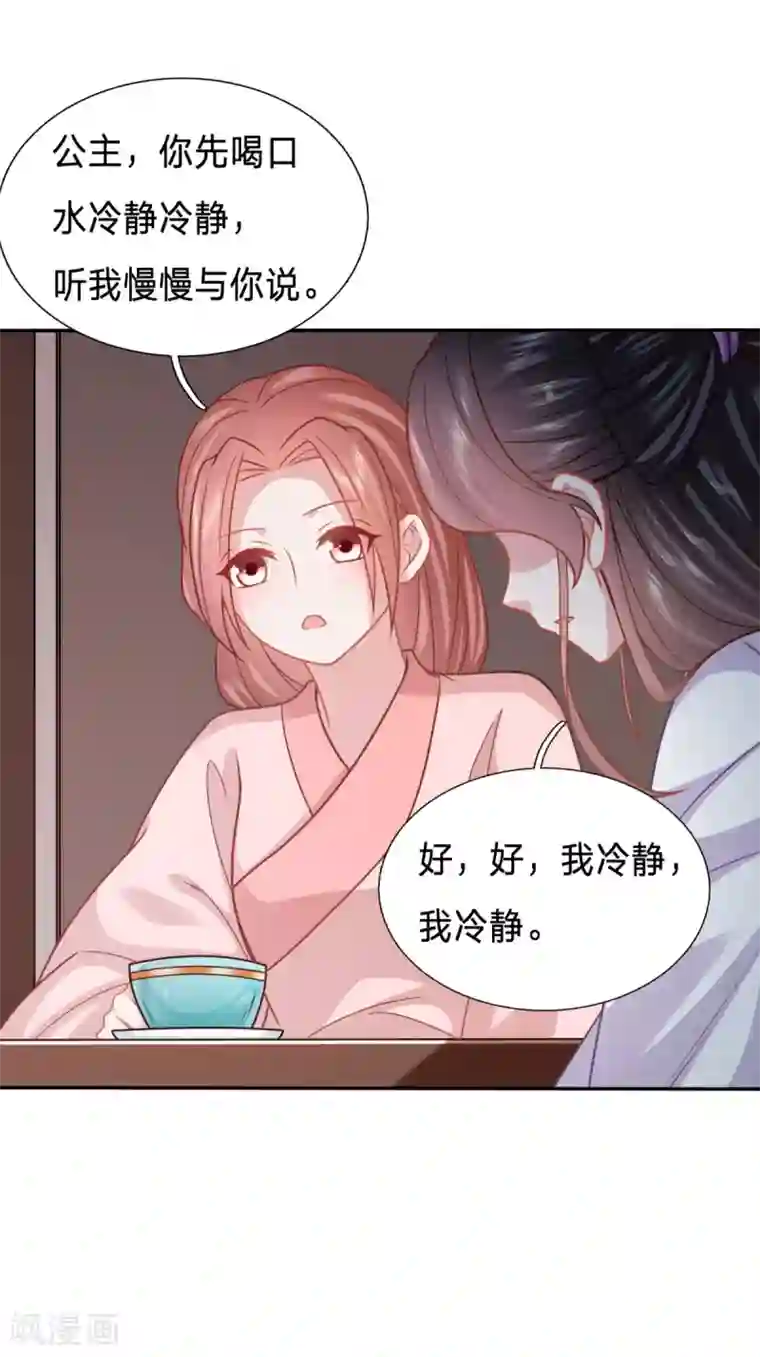 穿越之太子妃威武第142话 婢女也反水