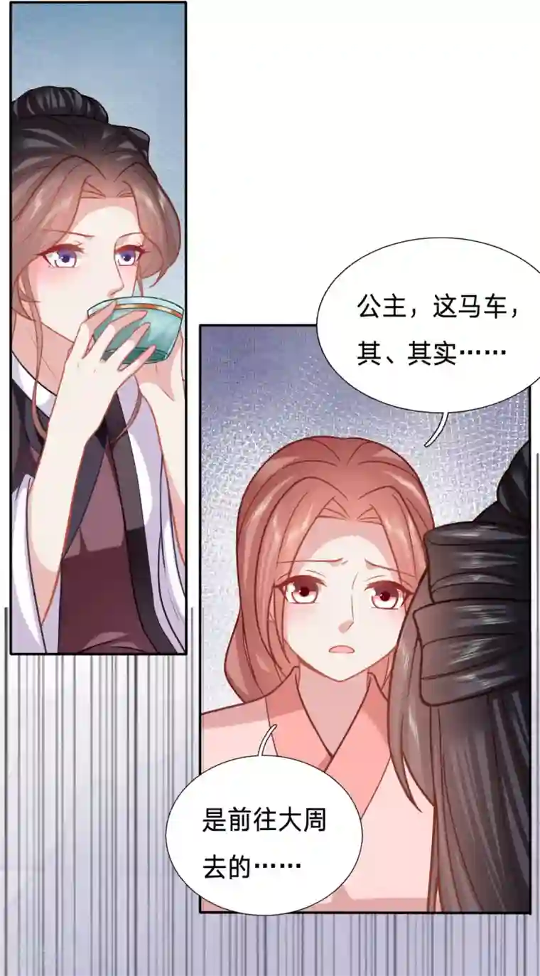 穿越之太子妃威武第142话 婢女也反水
