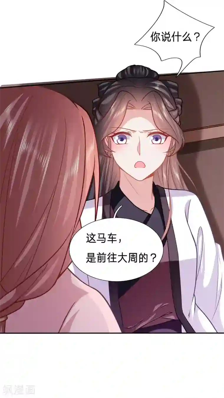 穿越之太子妃威武第142话 婢女也反水