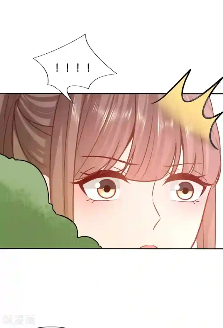 穿越之太子妃威武第149话 夫妻双双来剿匪