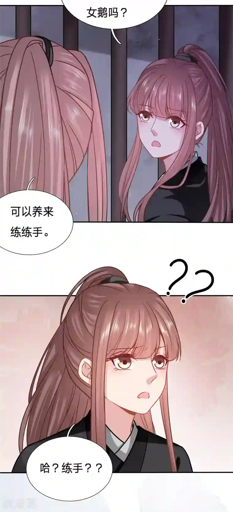 穿越之太子妃威武第152话 天降女鹅