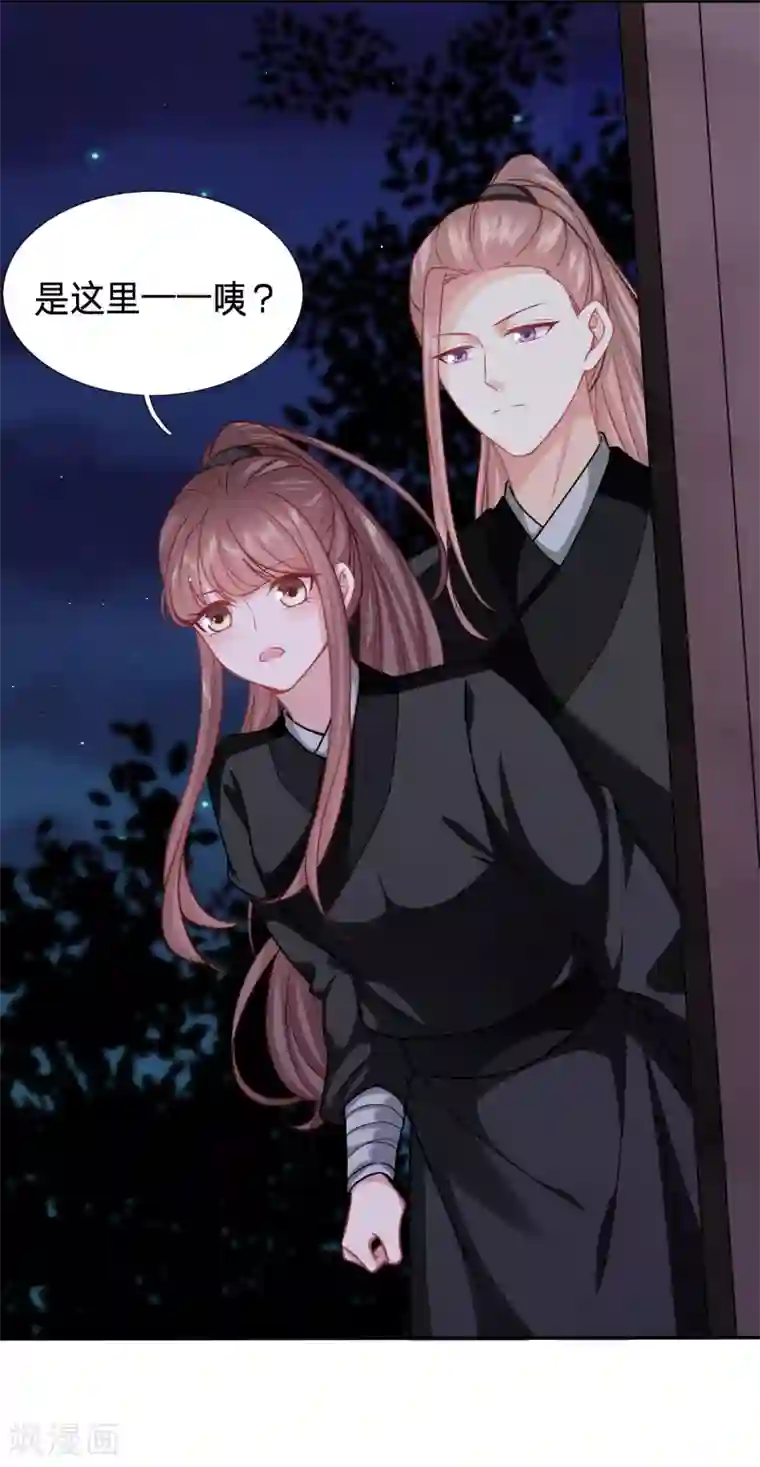 穿越之太子妃威武第152话 天降女鹅