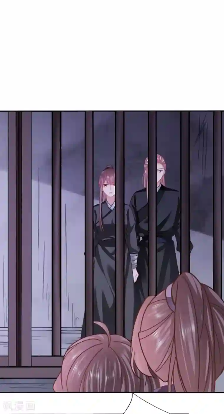 穿越之太子妃威武第152话 天降女鹅