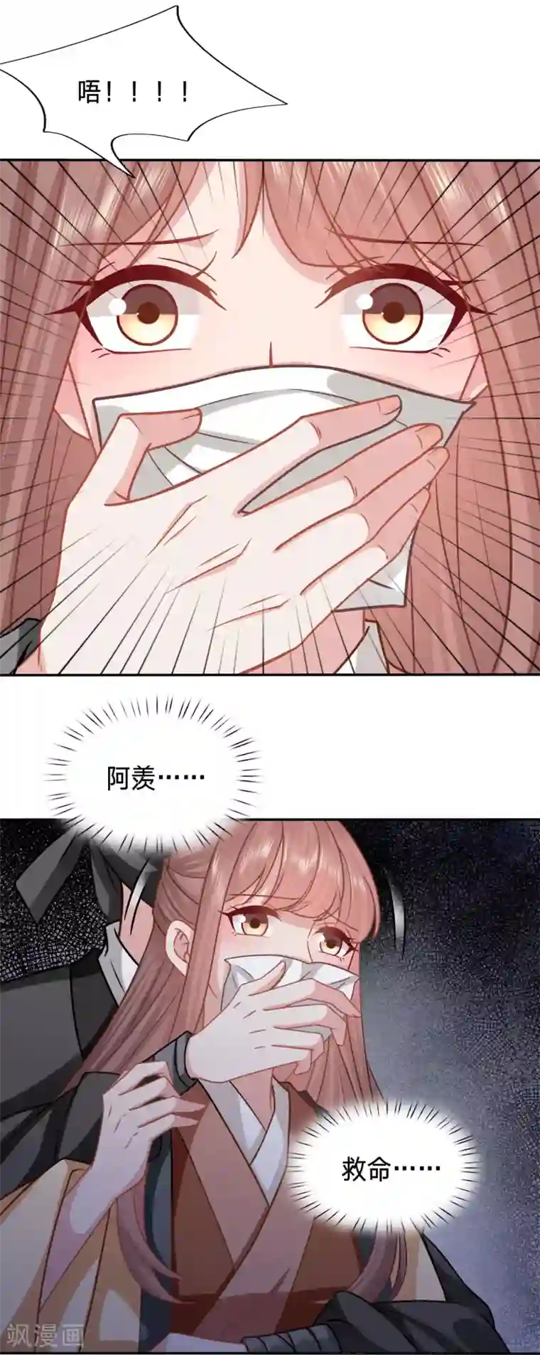 穿越之太子妃威武第164话 太子妃叒被抓了