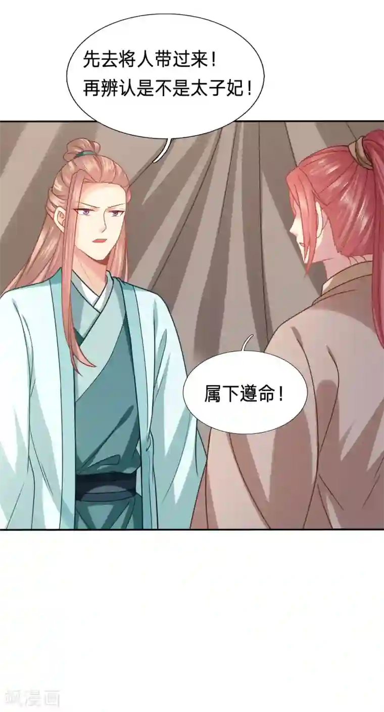 穿越之太子妃威武第167话 有人冒充太子妃？
