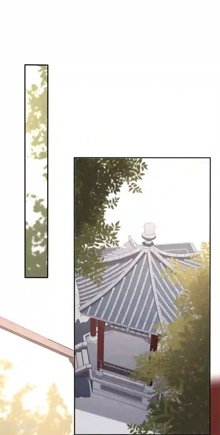 穿越之太子妃威武第175话 妹子们的战场