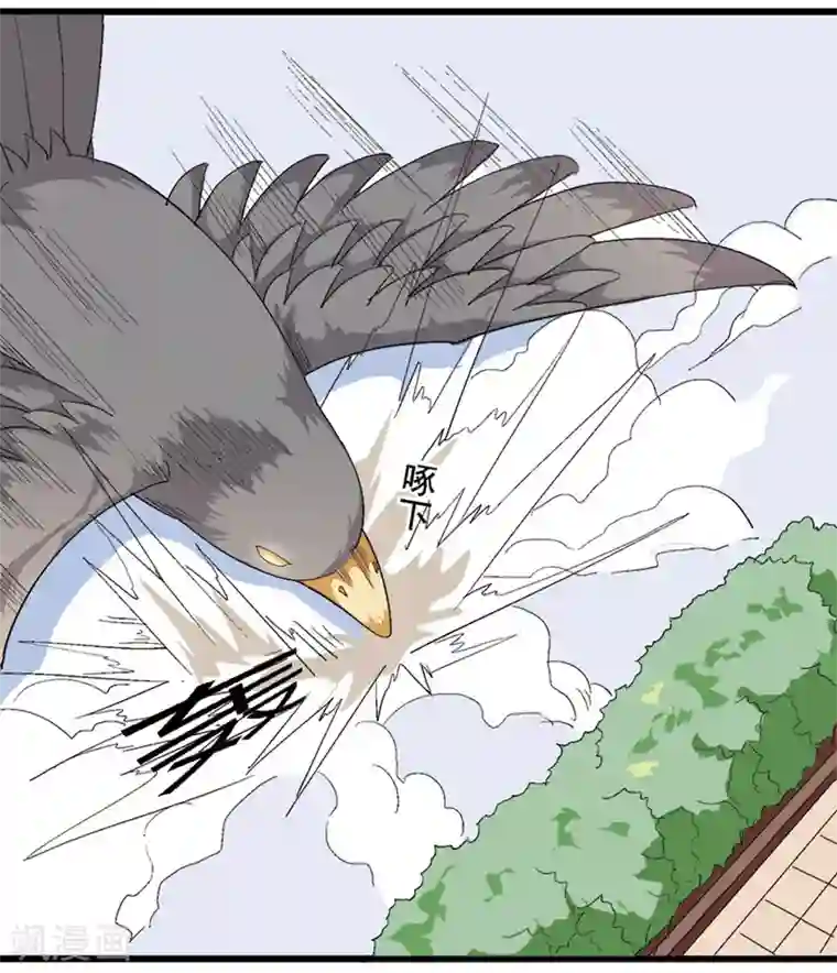 请点我吧，主人！第40话