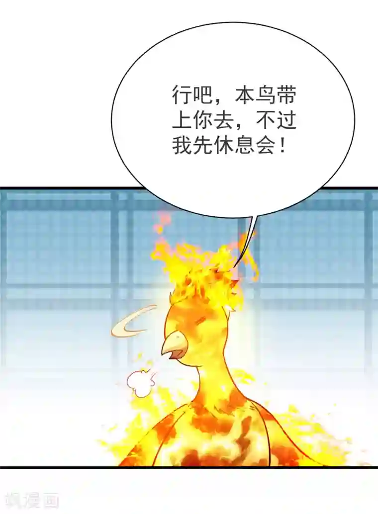 盖世帝尊第119话 小鹌鹑的烦恼！