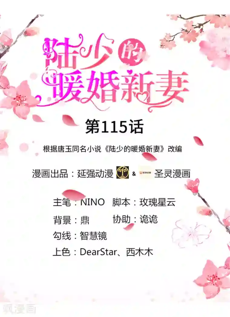 陆少的暖婚新妻第115话