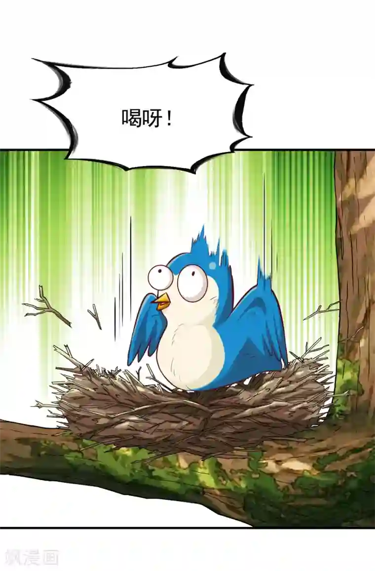 战鼎第201话 局中