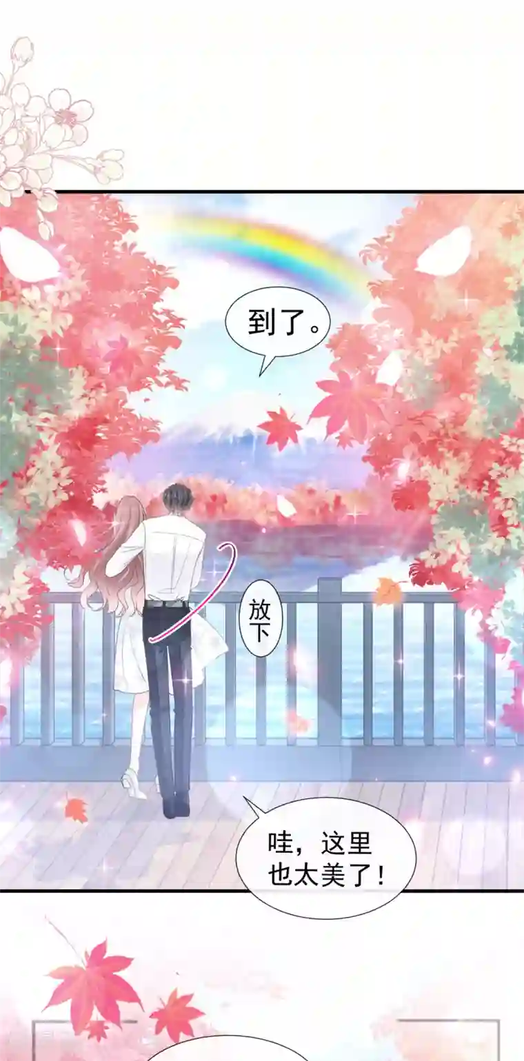 霸道总裁轻轻爱第96话 红叶林幽会