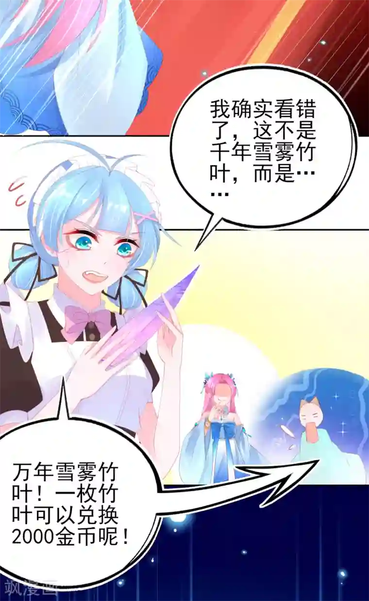 本王妃神藤在手第70话 赢了赌约