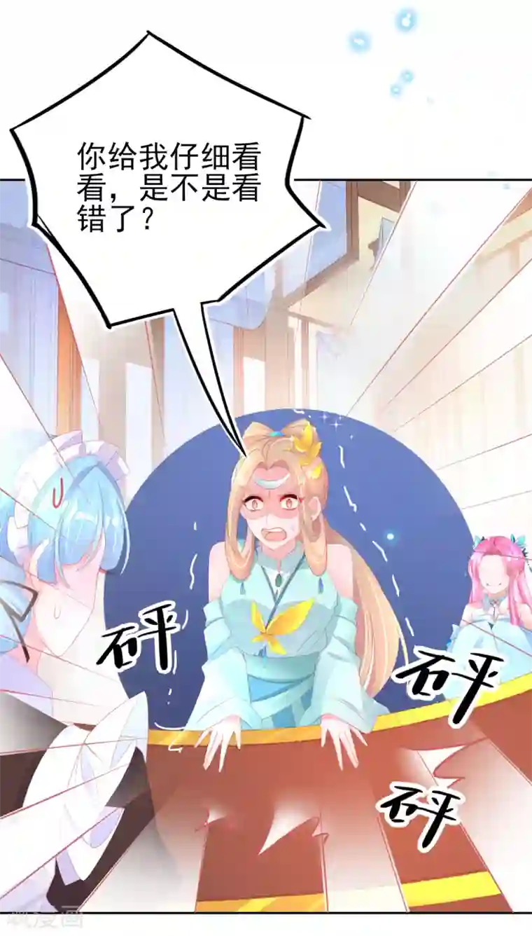 本王妃神藤在手第70话 赢了赌约