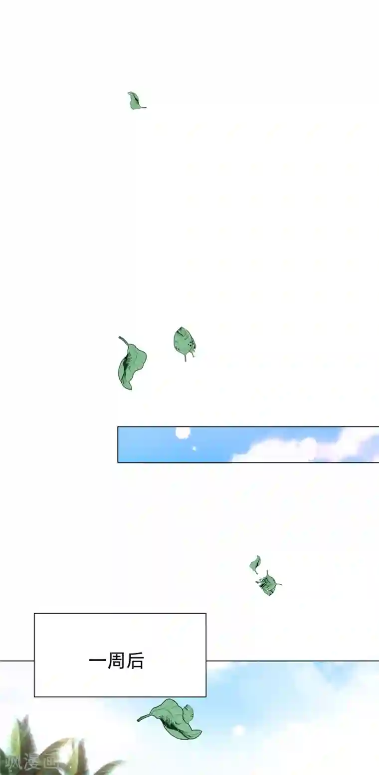 纯情陆少第219话 心跳party