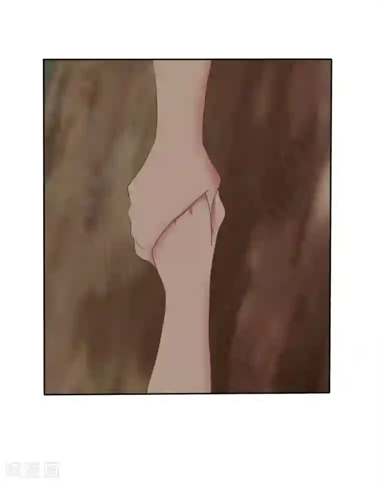 因爱宠你第339话