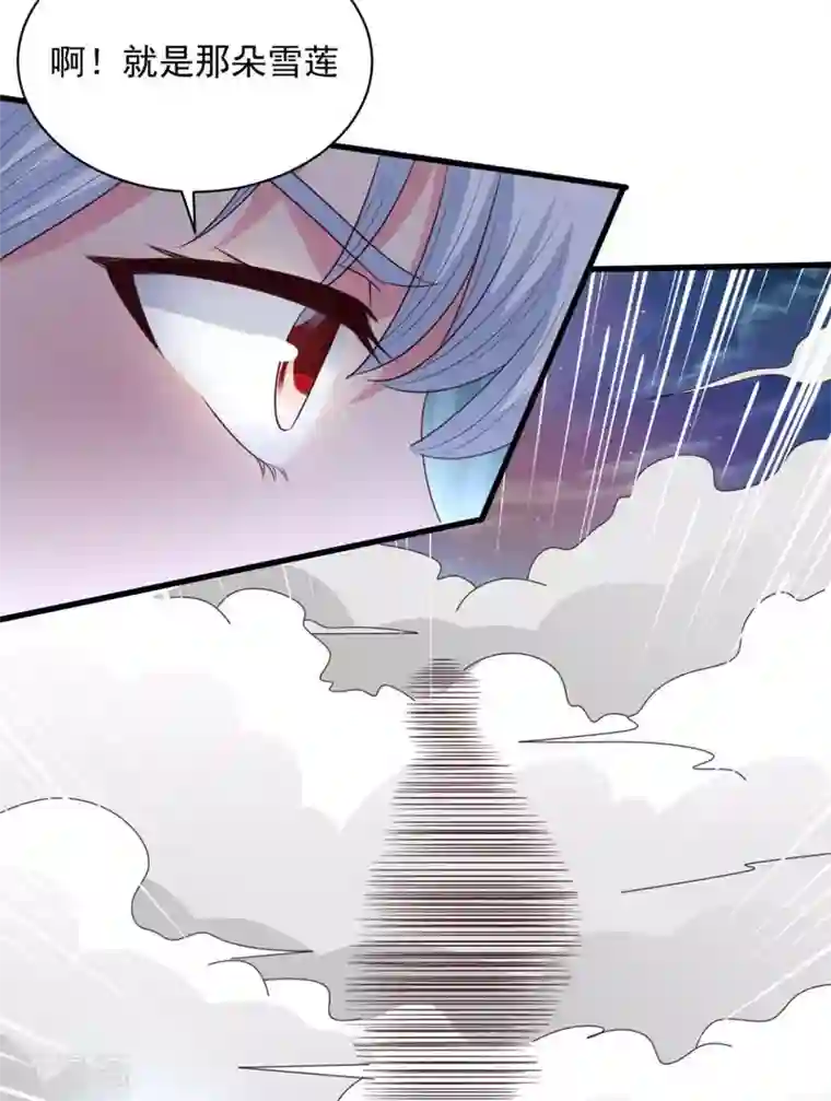 混沌金乌第76话 山一般大的菊花