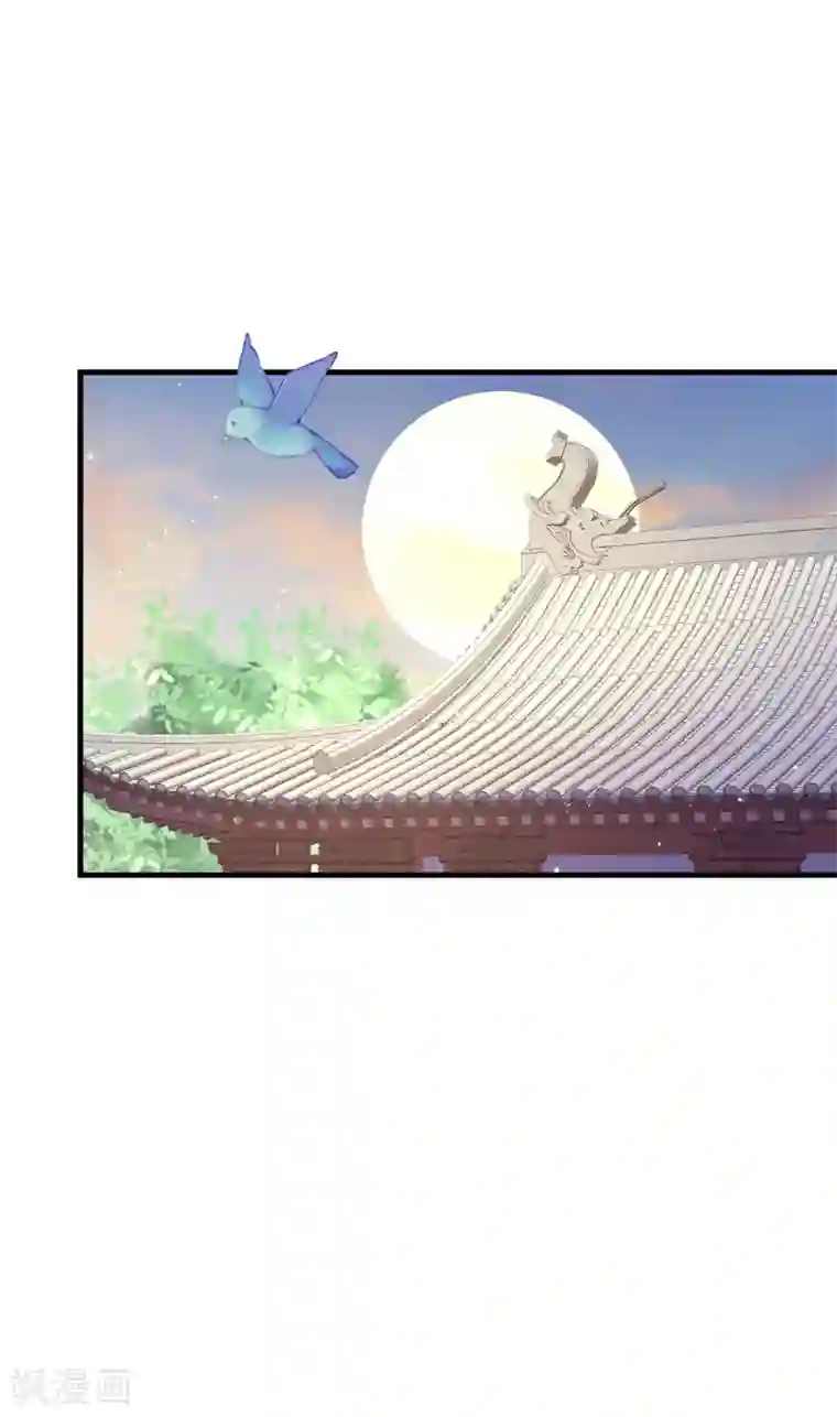 养兽为妃第58话 有缘人