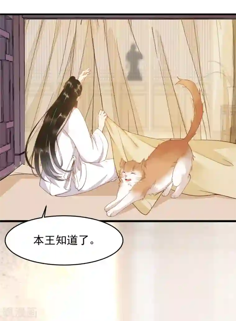 杀手王妃不好惹第41话 变回人了？