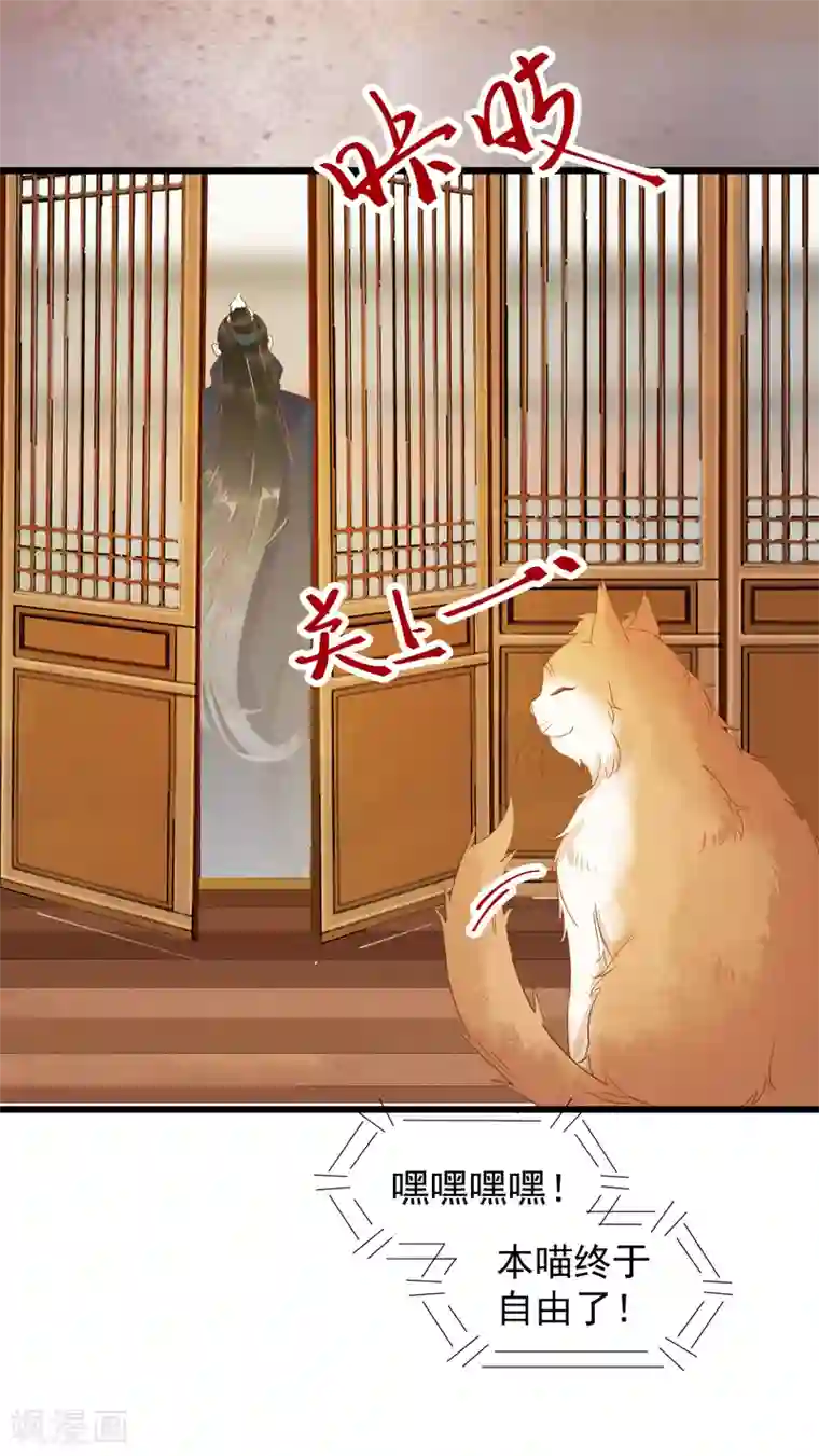 杀手王妃不好惹第41话 变回人了？