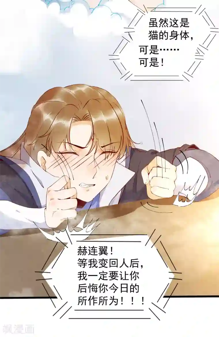 杀手王妃不好惹第41话 变回人了？