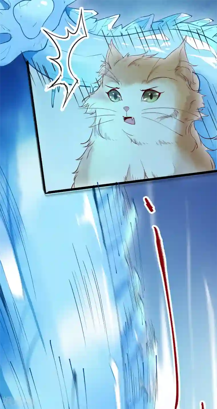 杀手王妃不好惹第41话 变回人了？