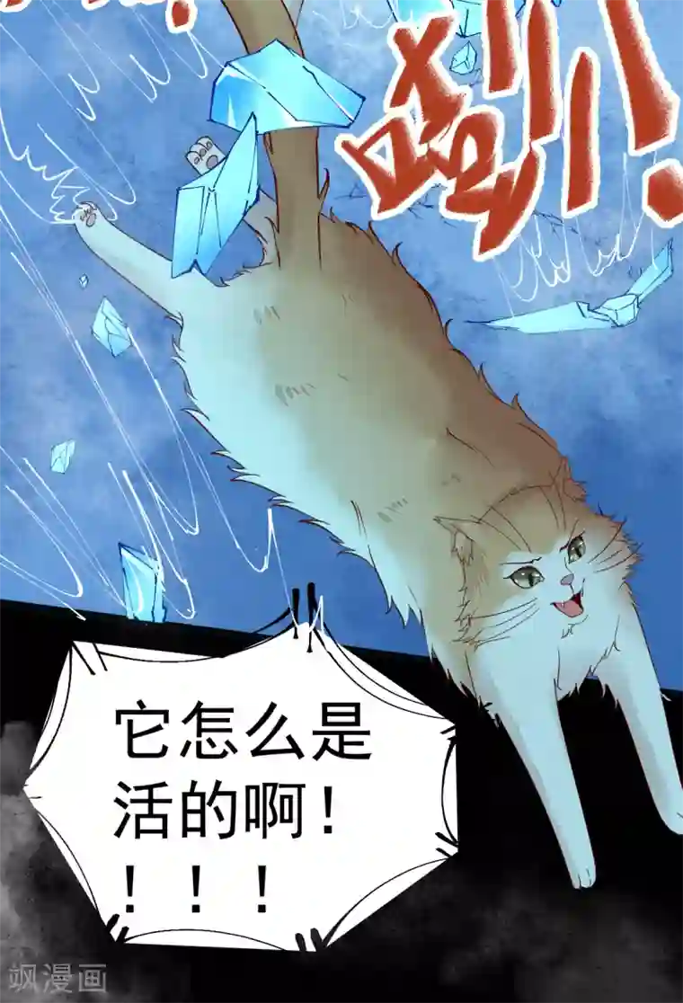杀手王妃不好惹第41话 变回人了？