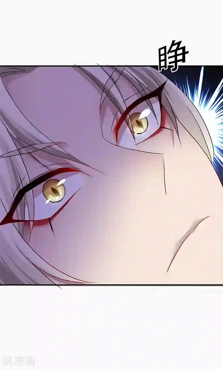 我在异界养男神：神医九小姐第33话 洗筋伐髓