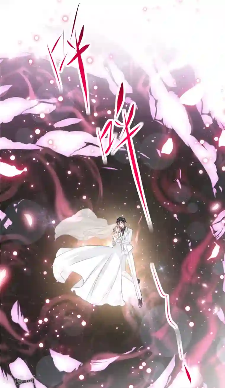 天下第一宠第178话 回到箐国