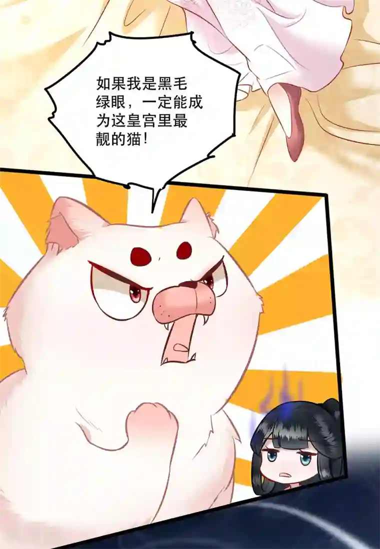 这个王妃路子野小剧场