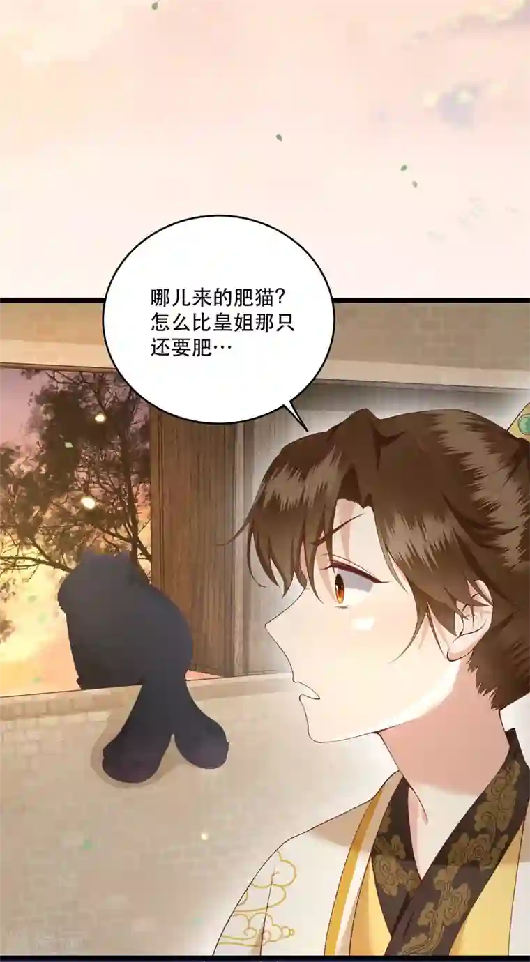 这个王妃路子野小剧场