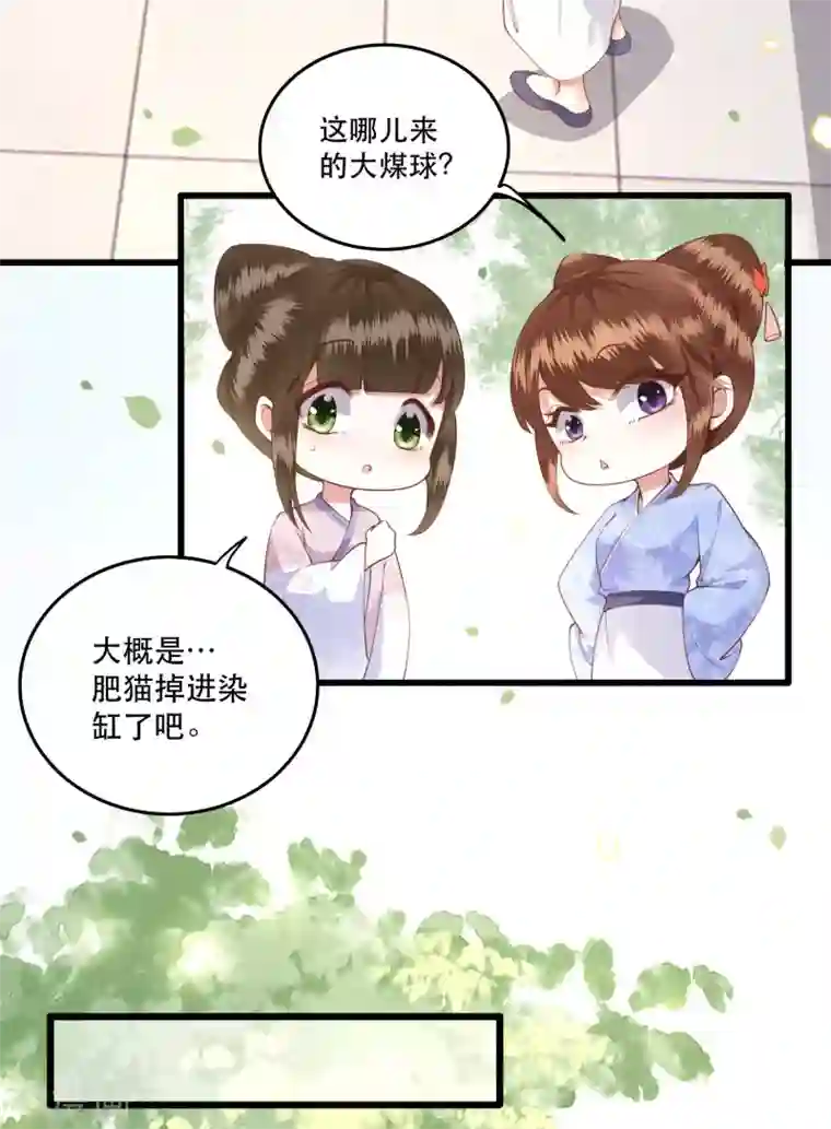 这个王妃路子野小剧场