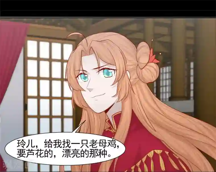 丞相大人求休妻第2话 公鸡拜堂