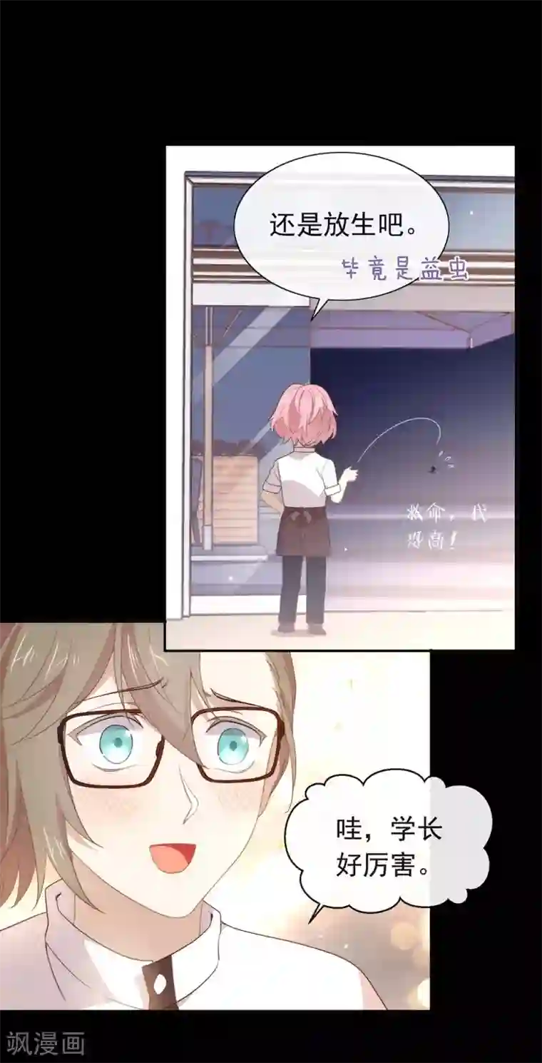 我与玛丽苏女主抢男友第98话 观察，再观察一下