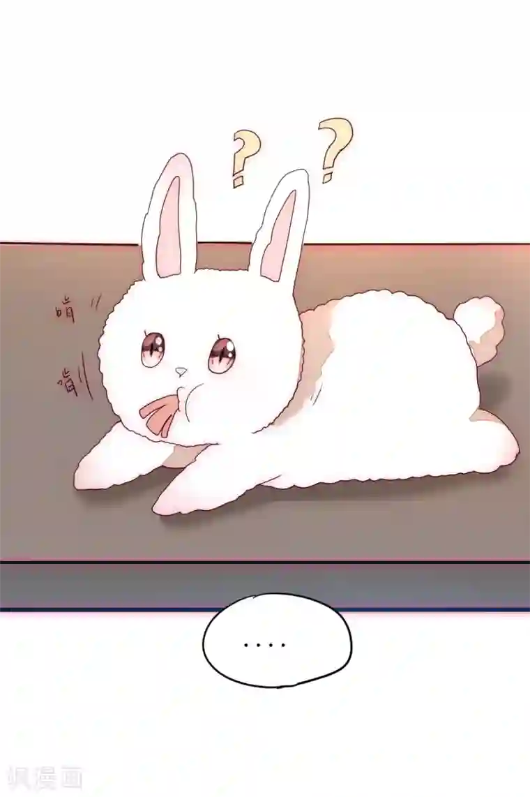 逆转仙途日常番外1 生日礼物