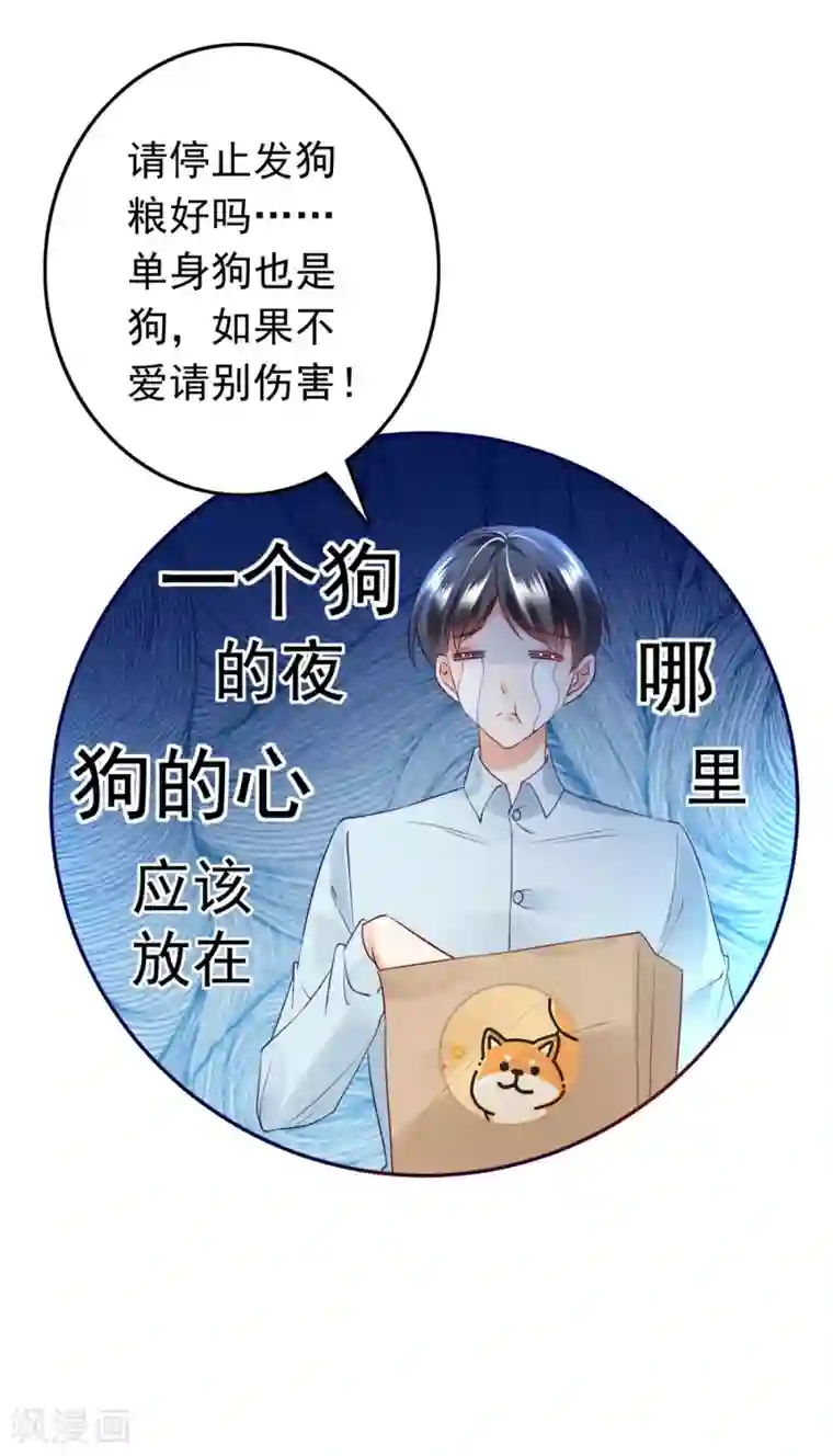 豪门天价前妻番外5 你是我的唯一