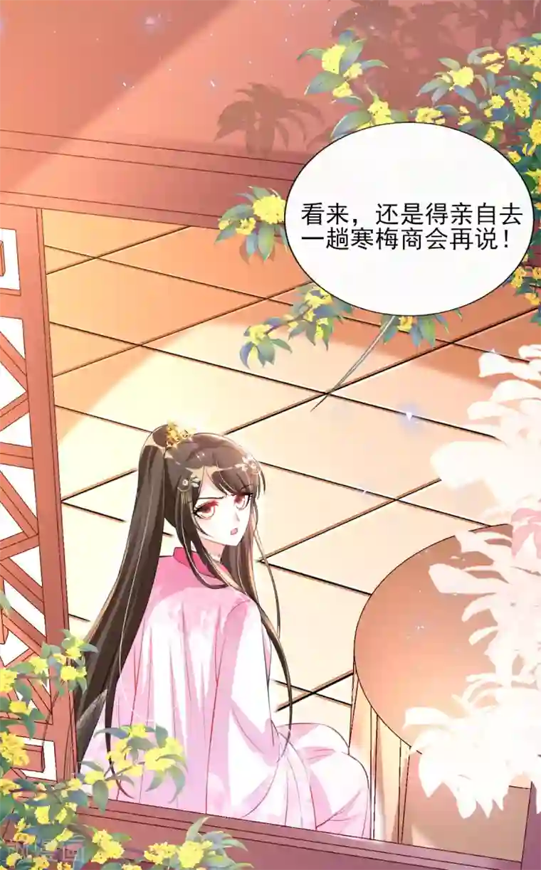 惊世狂妃第48话 商会继承人