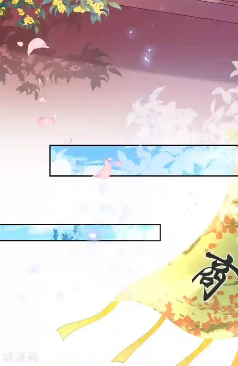 惊世狂妃第48话 商会继承人