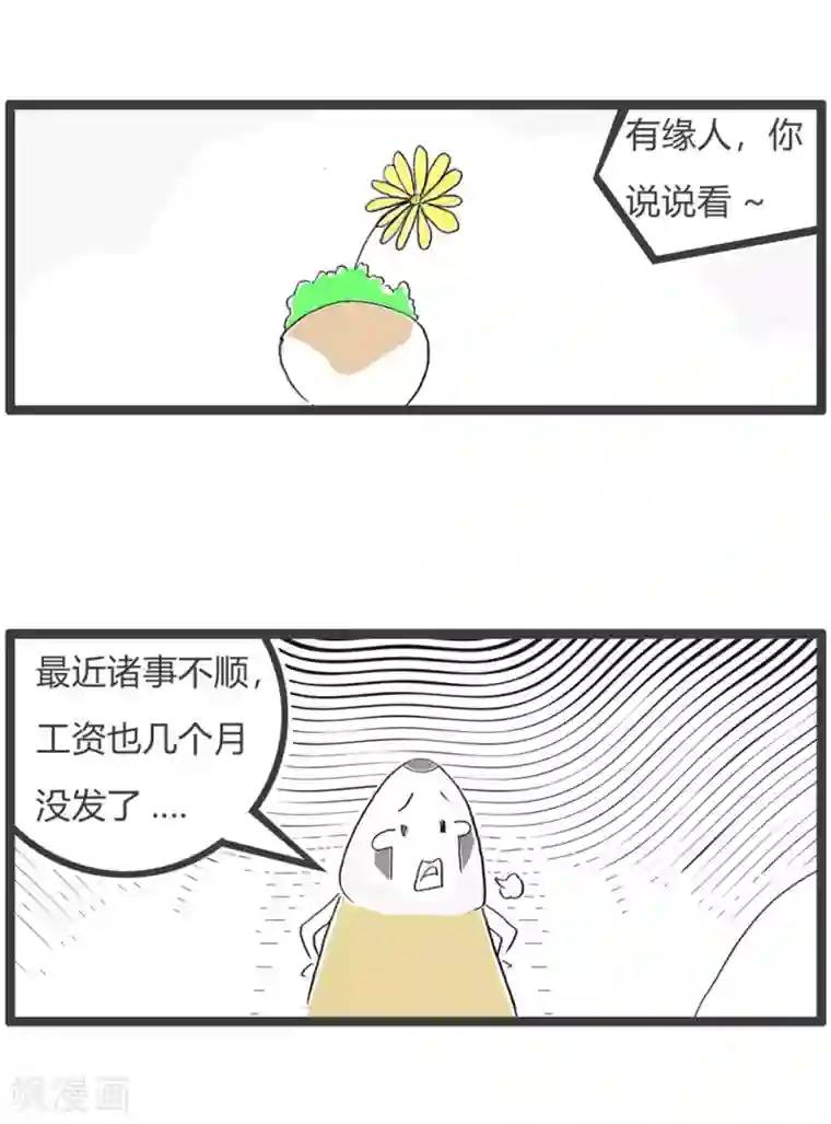 火锅家族第三季第215话 独善其身