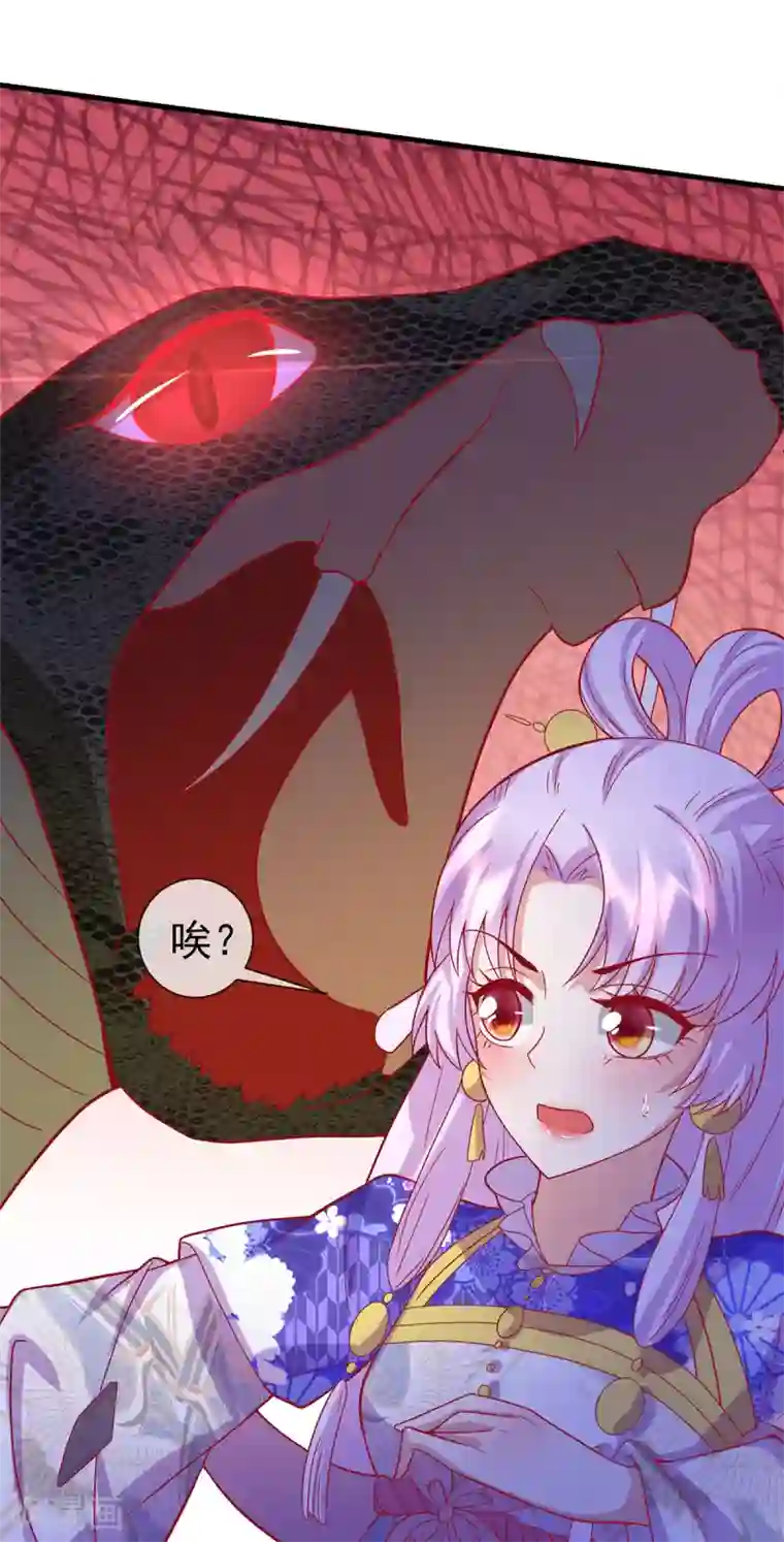 养兽为妃第63话 前世旧相识