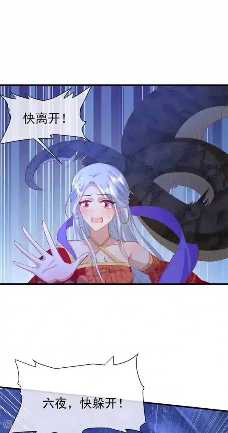 养兽为妃第63话 前世旧相识