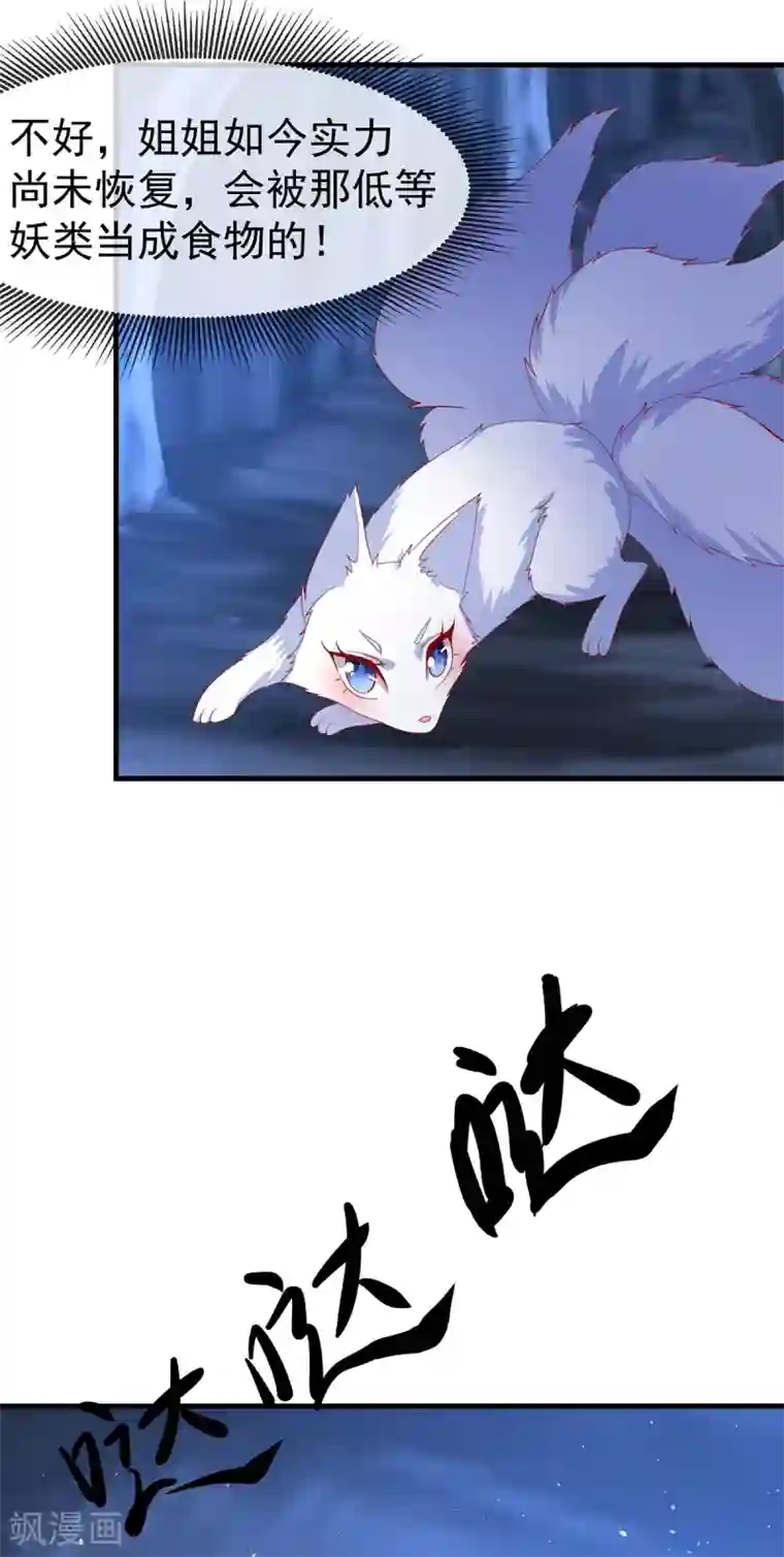 养兽为妃第63话 前世旧相识