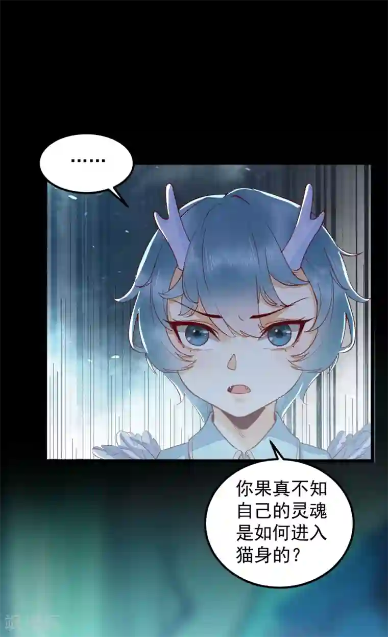 杀手王妃不好惹第43话 北荒