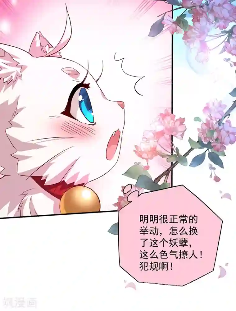 我在异界养男神：神医九小姐第34话 脱胎换骨