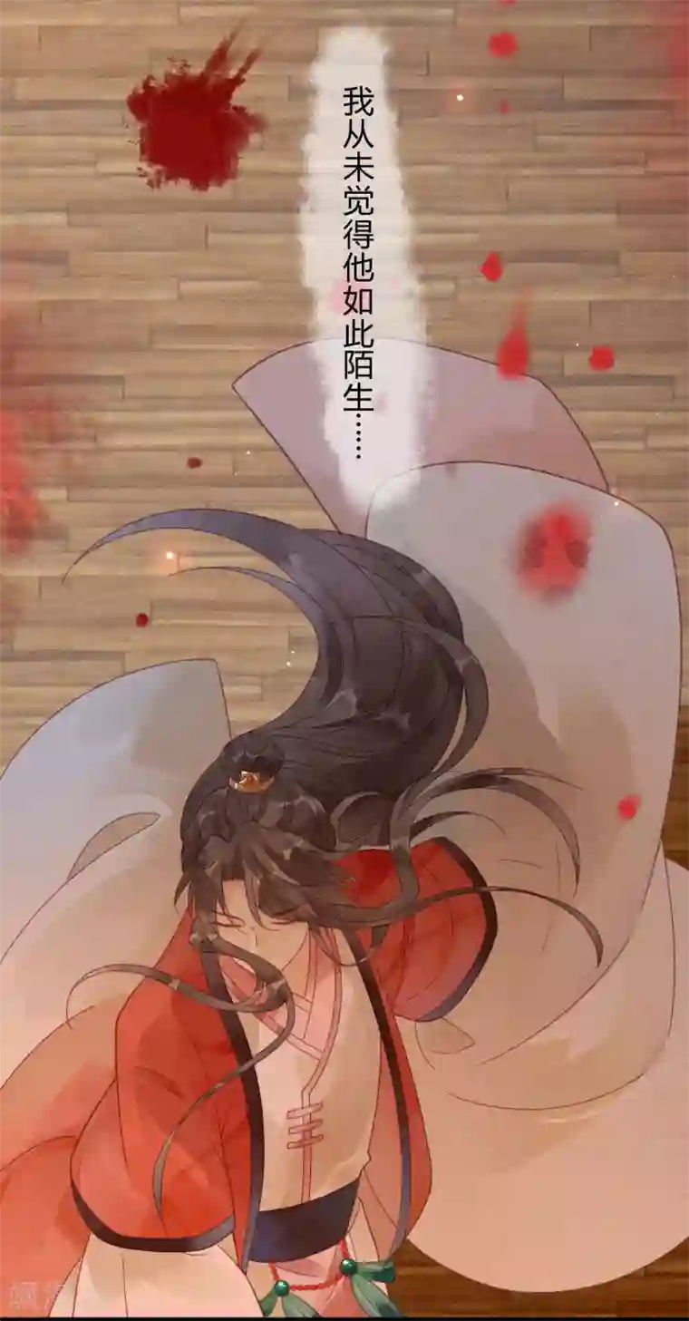 天恸璃泽殇预告 一切因你而起
